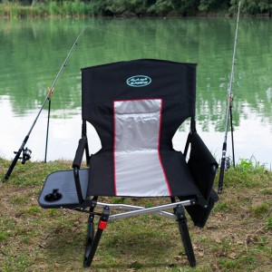 Portable Camping Chair w/Carrybag