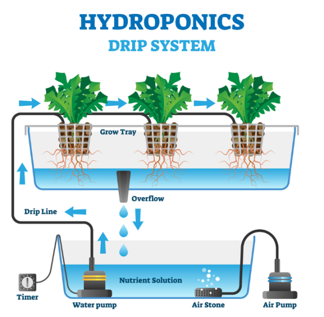 Creșteți productivitatea în hidroponie: Sondă de ultimă oră pentru oxigen dizolvat