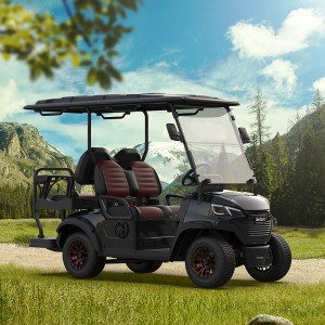 Carros de golf personalitzats de 48V/72V 5Kw de Borcart per a la venda