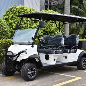 Yüksek performanslı AC motor 4 tekerlekli disk fren yüksek hızlı golf arabası elektrikli kargo golf arabası