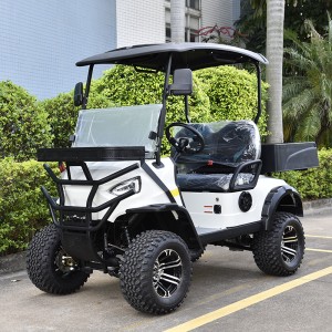 Factory utility golf cart 2 seats electric lifted golf car cargo golf cart