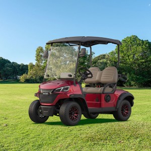 Manufacturer Luxury Electric 2 Seater Club Car alang sa Golf Course
