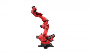 Higher loading ability industrial robot BRTIRUS2520B