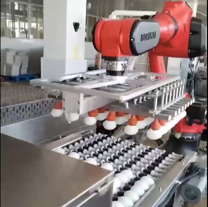 What are the automated egg sorting processes?