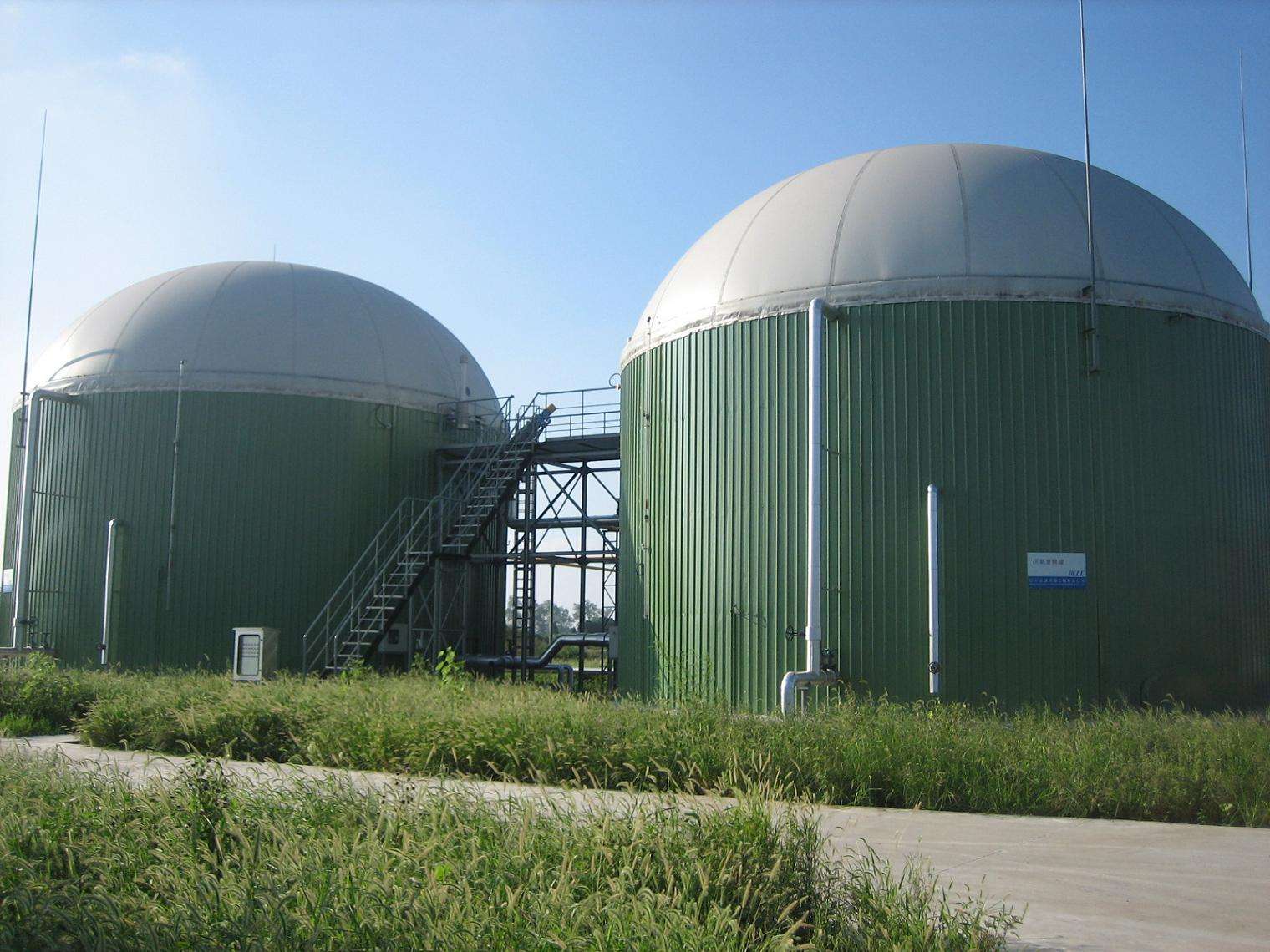 What design parameters are required for biogas projects?