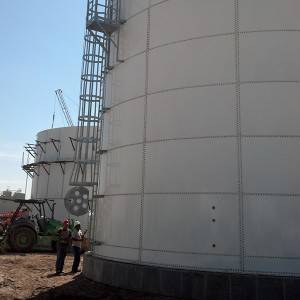 Fixed Competitive Price Filtration Tank Water Treatment - Chemical-storage Tank – Boselan