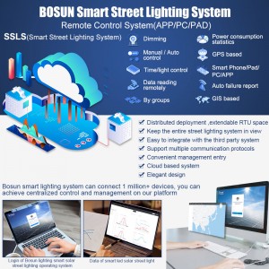 BS-BDX Series Separated Solar Street Light, Split Solar Lamp For IoT LoRa-MESH Solution With SSLS System
