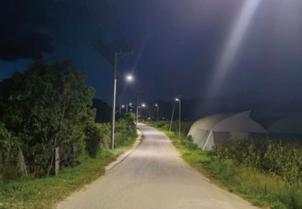 5500pcs LoRa-MESH Solar Smart Lighting Project in the Philippines