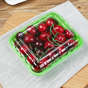 Transparente Lebensmittelbox aus Kunststoff für Obst und Salate mit Deckel