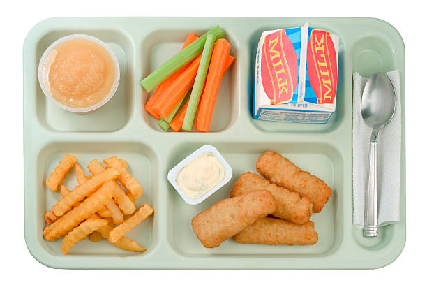 Embracing Environmental Protection: Bagasse Compartment Tray Revolutionizes Packaging Needs