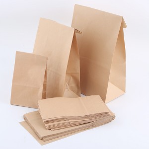 सानुकूलित लोगो टेकआउट क्राफ्ट पेपर बॅग