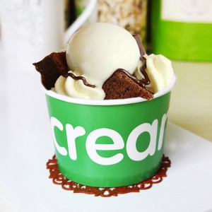 Disposable Double PE Coated Ice Cream Bowl