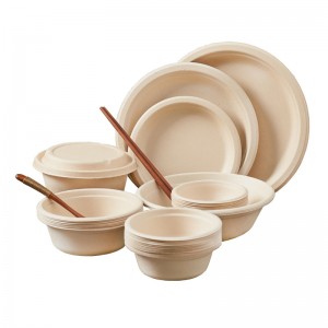 Eco-friendly & Disposable Pulp Bowl Bento Box Containers