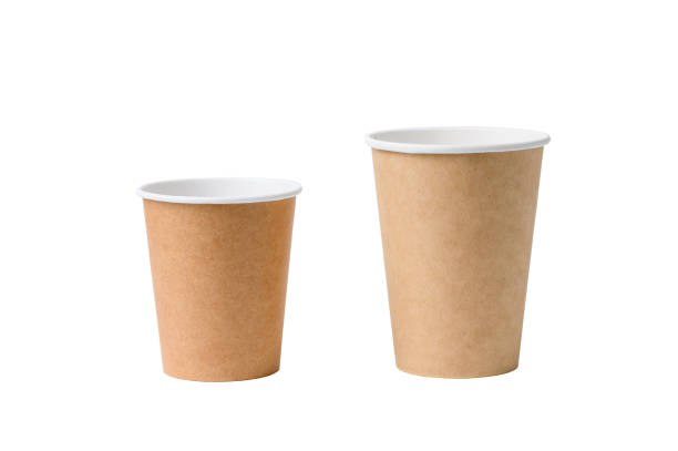 The Reason Why Disposable Paper Cups Do Not Absorb Water