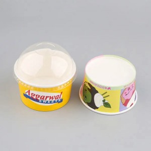 Ice Cream Cup with Lid and Spoon for Hot or Cold Food