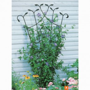 Forged Fan Trellis with Leaves
