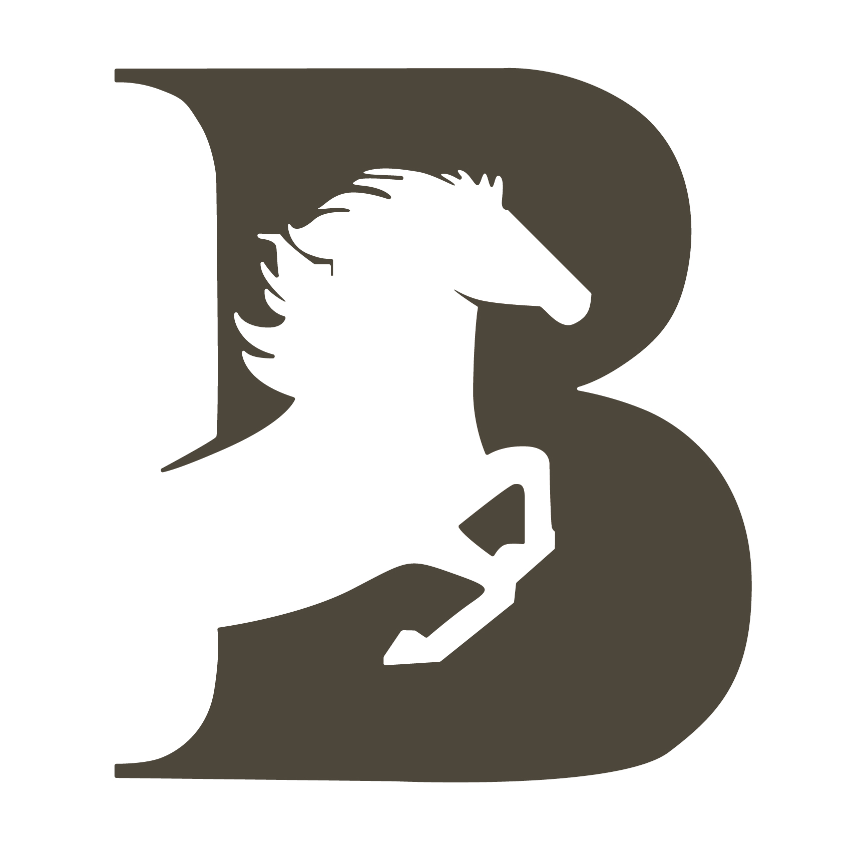 Boze logo