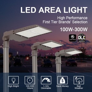 Outdoor Professional LED Light