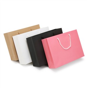 Luxury Shopping Paper Bag Art Paper with PP Rope Handle Hot Stamp Lamination Hand Made Boutique Paper Bags for Clothes