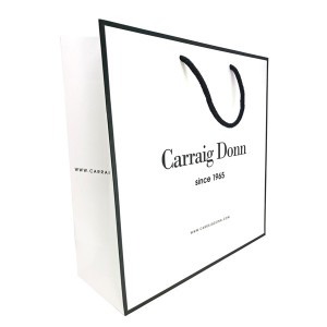 Wholesale Laminated Printed Luxury Shopping Gift Custom Paper Bag
