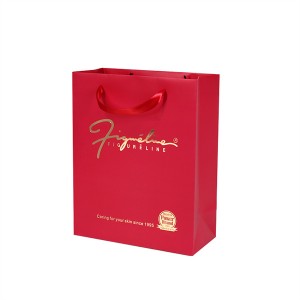 Custom Luxury Retail Perfume Paper Bag With Your Own Logo