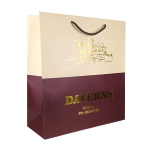 Factory Price Shopping Paper Bag for Clothing Custom Design Printing High End Paper Bag