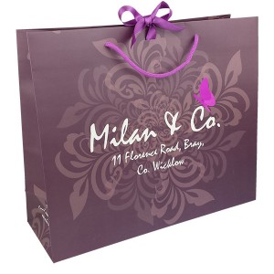 Wholesale Gift Bag Handbag Custom Logo Luxury Shopping Paper Bag with Ribbon, Rope Handling