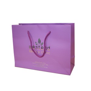 2024 Hot Sales Custom Printed Garment Shopping Paper Bag with Ribbon cords
