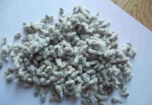 Cottonseed lint is made into plastic film, which is degradable and cheaper!