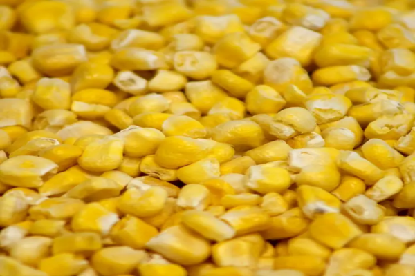 The Snack Revolution: The Benefits of Freeze-Dried Corn Sweets