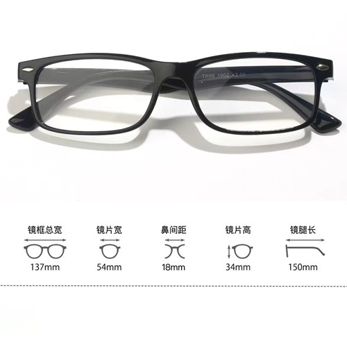 Cheapest Price Eyeglass Style - Anti-blu TR Reading Glasses  T5321902 – Mayya
