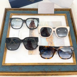 Large Frame Acetate Sunglasses D220130