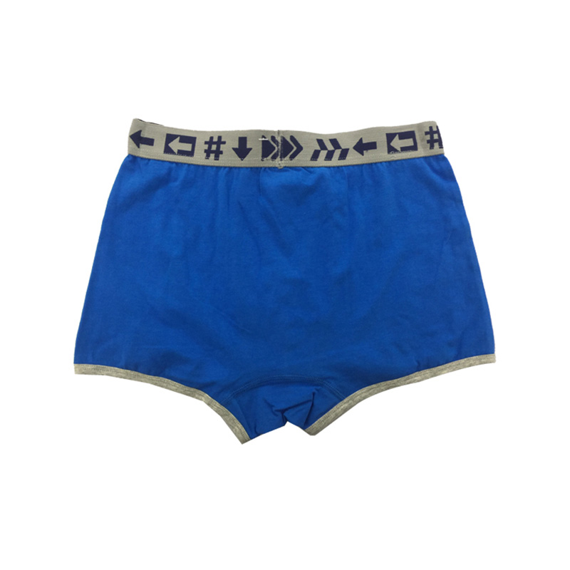 Fixed Competitive Price Girls Underwear - Seamless SX – XXXXL Custom Waist Band Elastic Mens Sport Boxer Briefs  – baishiqing