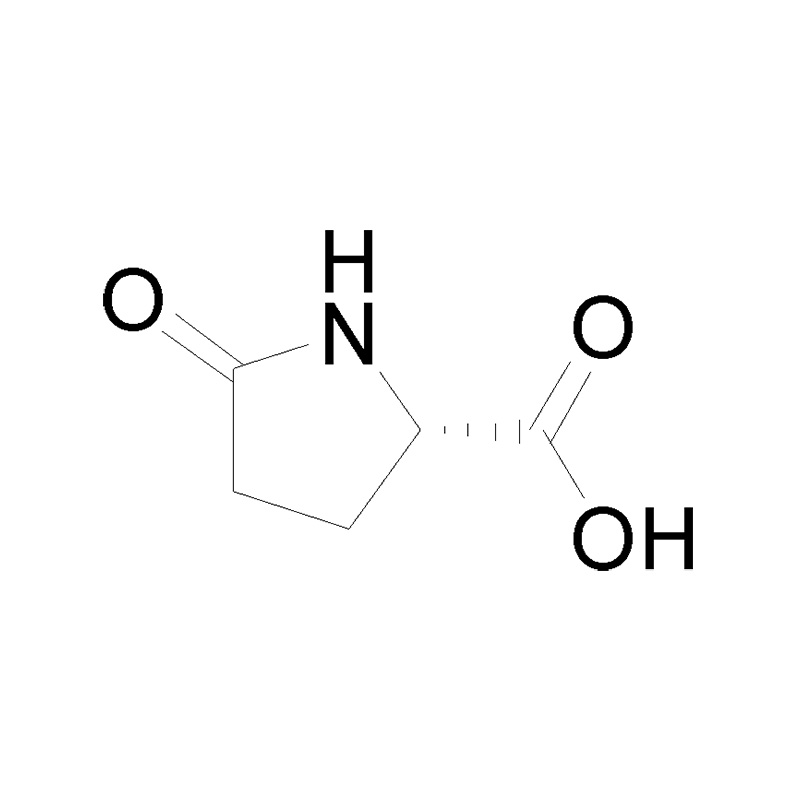 High definition Cas. 144978-35-8 - L-pyroglutamic acid – Baishixing