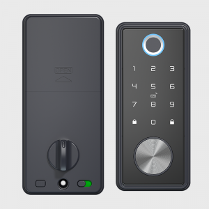 Wholesale Price Smart Locks For Front Doors - HD-8908 Bluetooth/Wifi Smart Door Lock – Botin