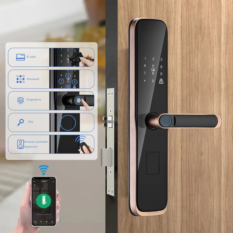 Smart Lock vs Traditional Lock: Which One Should You Choose?