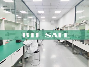 BTF Testing Safety laboratory introduction