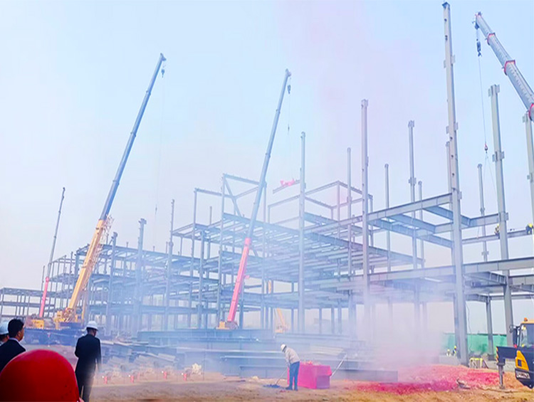 Project!The Huge Steel Structure Factory Handicraft Industrial Park