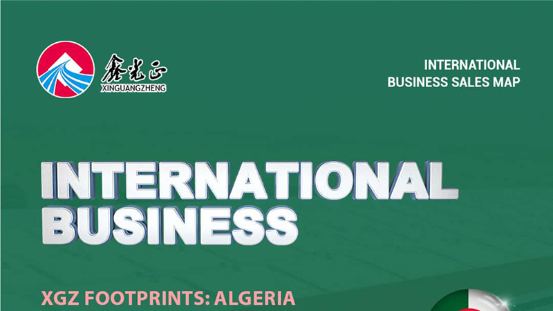 International Business Market —Algeria