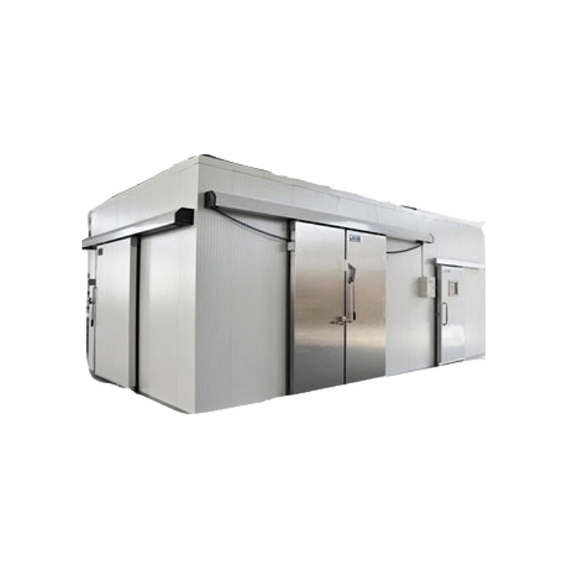 OEM Factory for Commercial Cold Room - Cold Room Blast Freezer for Freezing and Could Storage – Baoxue