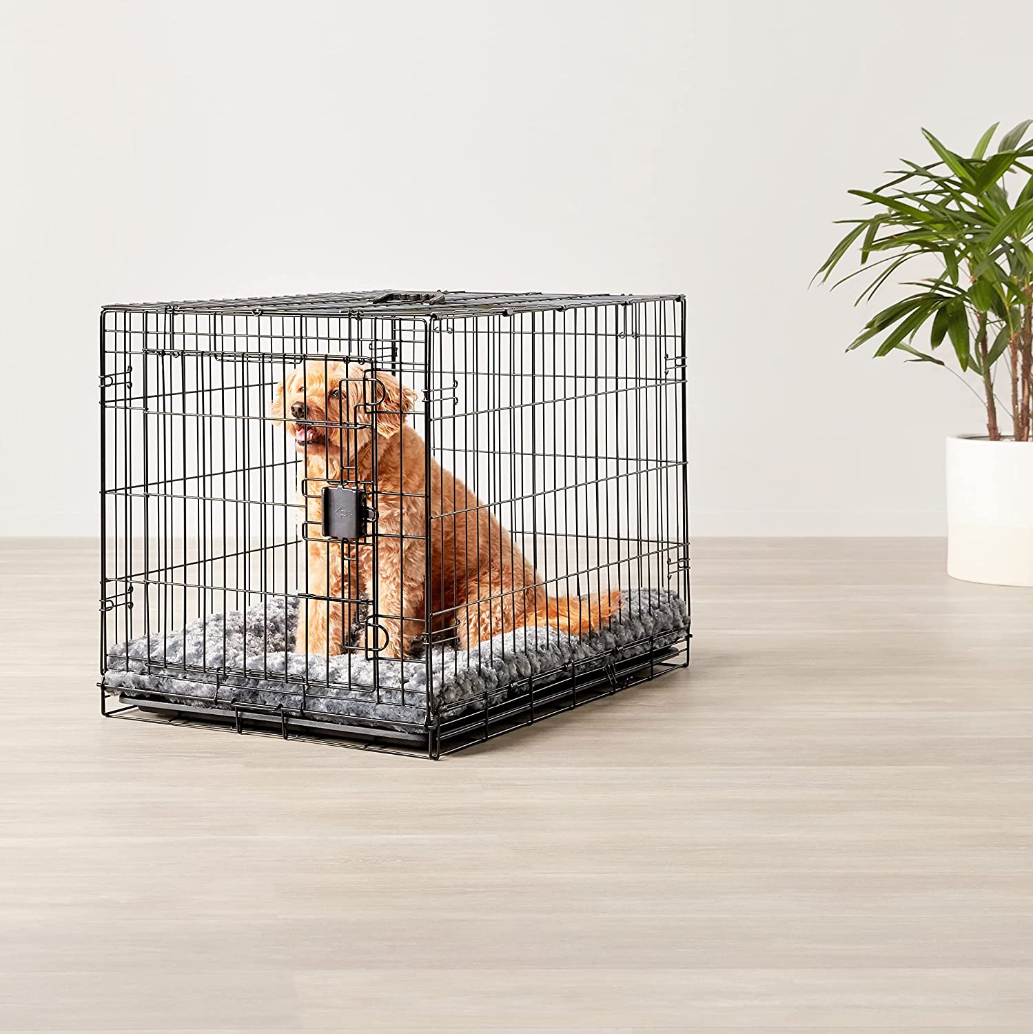Foldable Metal Wire Dog Crate with Tray, Single Door, 36 Inch Featured Image
