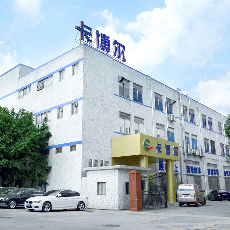 Why choose Shenzhen Capel Technology Co., Ltd