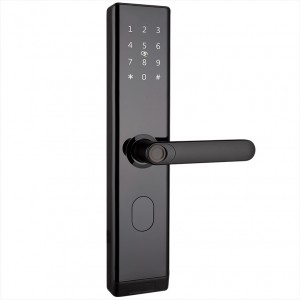 Smart Door Lock- Semi-otomatik fèmen JSL2108-F