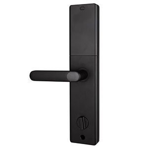 Smart Door Lock- අර්ධ ස්වයංක්‍රීය අගුල JSL2108