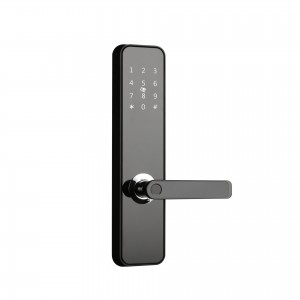 Smart Door Lock- Semi-automatic lock JSL1808-F
