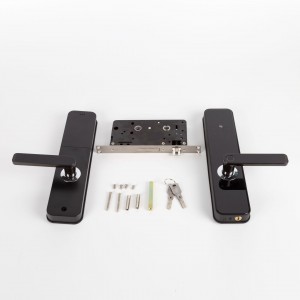 Smart Door Lock- Semi-automatic lock JSL1808-F