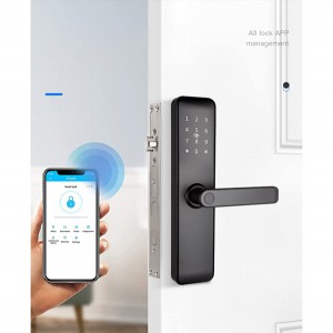 Smart Door Lock- Sarraila erdi-automatikoa