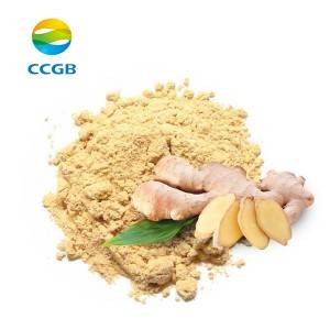 Europe style for Milk Thistle Extract Silymarin And Silybin - Ginger extrac – CCGB