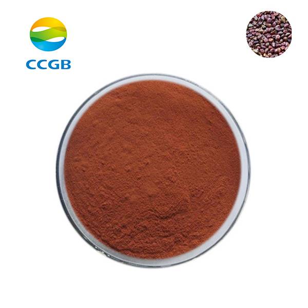 Grape seed extract (1)