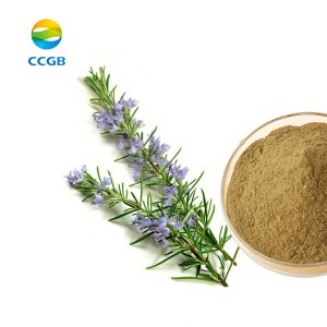 OEM Manufacturer Jecfa Lutein - Natural Rosemary Extract – CCGB
